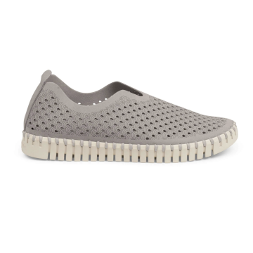  ILSE JACOBSEN TULIP FLATS Atmosphere