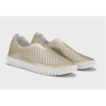  ILSE JACOBSEN TULIP Platin